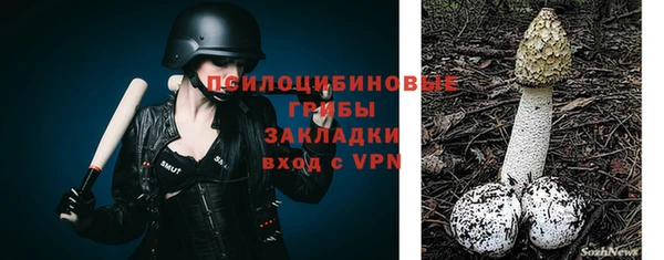 мескалин Алексин