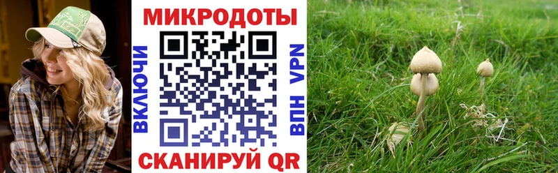 Галлюциногенные грибы Cubensis где купить наркоту Киров